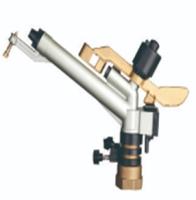 rasp-30
