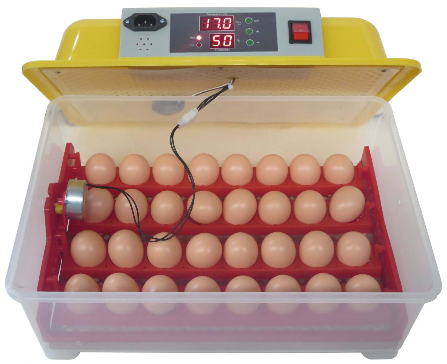 Инкубатор для яиц производитель. Инкубаторе WQ 32. Инкубатор NBF-1500. Инкубатор на 30 яиц. Инкубатор автоматический WQ-24.