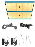 fitosv-vzh22-04 fitosv-vzh22-04