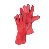 ox1lmj1axa1roif6mi29nd8tycp2mt6k